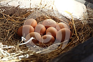 Close-upÃ¢â¬â¹ ofÃ¢â¬â¹ fresh chicken eggs with nestÃ¢â¬â¹ inÃ¢â¬â¹ theÃ¢â¬â¹ woodÃ¢â¬â¹enÃ¢â¬â¹ box, A pile of brown eggs in a nest. photo